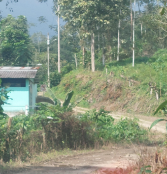 EC-RJ-156861 — Acceso y entorno del inmueble Vía y vegetación del entorno del predio rural en La Cascada